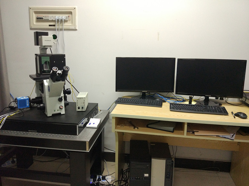 扫描离子电导显微镜